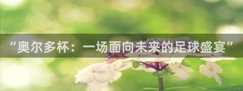  意昂体育网页登录入口入口官网网页版：“奥尔多杯：一场面向未来