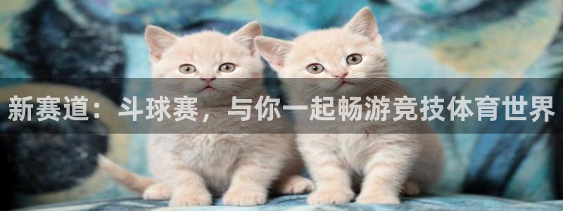 意昂体育网页登录入口入口官网网页版：新赛道：斗球赛，与你一起