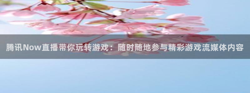 nba在线直播免费观看直播24直播网