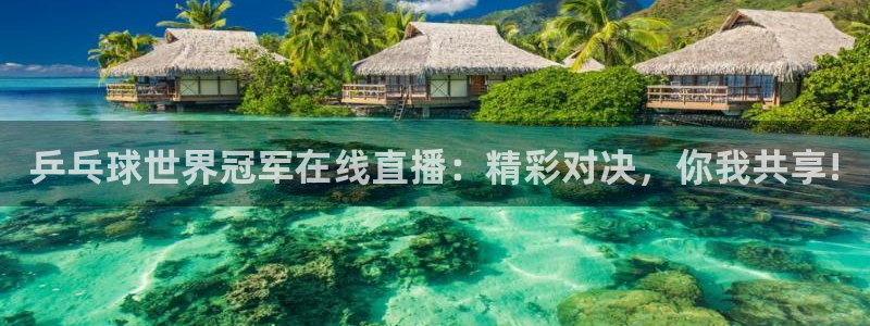 nba在线直播24直播：乒乓球世界冠军在线直播：精彩对决，你我共享!