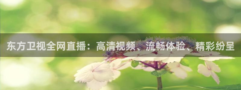 24直播免费体育直播：东方卫视全网直播：高清视频、流畅体验、精彩纷呈