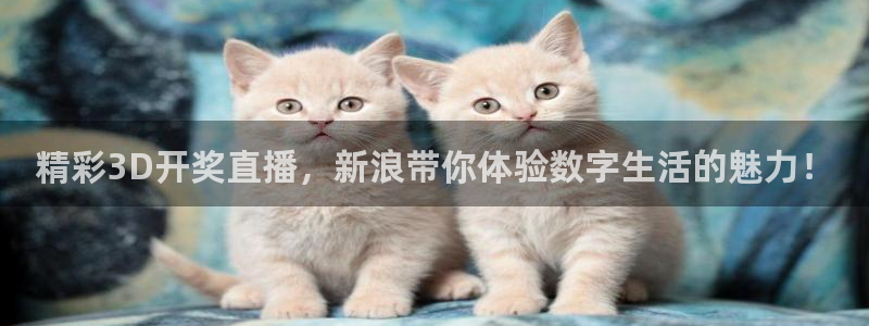 足球比赛24直播免费：精彩3D开奖直播，新浪带你体验数字生活的魅力！
