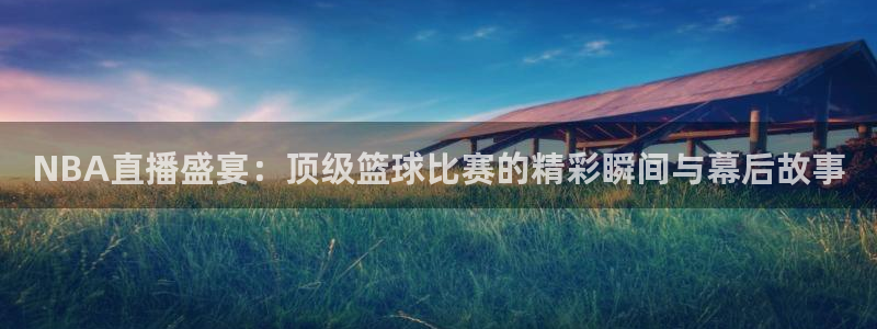 24直播网nba官网下载：NBA直播盛宴：顶级篮球比赛的精彩瞬间与幕后故事