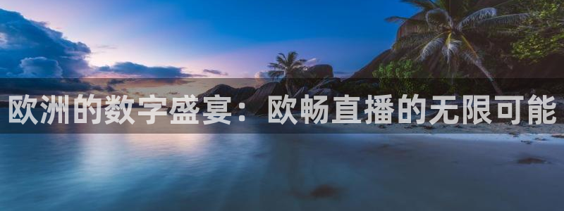 24直播网体育在线直播女排联赛：欧洲的数字盛宴：欧畅直播的无限可能