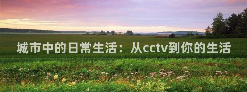 nba免费直播24直播网：城市中的日常生活：从cctv到你的生活