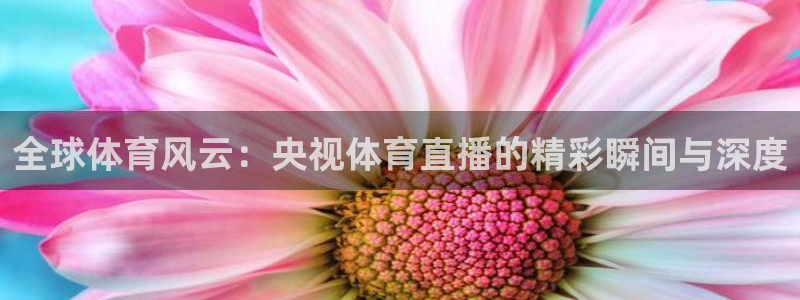 足球比赛24直播免费：全球体育风云：央视体育直播的精彩瞬间与深度