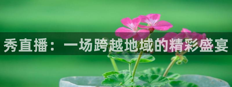 24直播足球高清完整版：秀直播：一场跨越地域的精彩盛宴