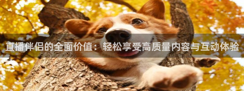 24直播篮球：直播伴侣的全面价值：轻松享受高质量内容与互动体验