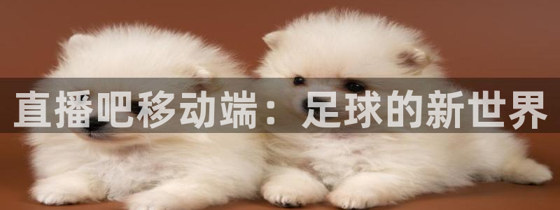 足球比赛直播24直播：直播吧移动端：足球的新世界
